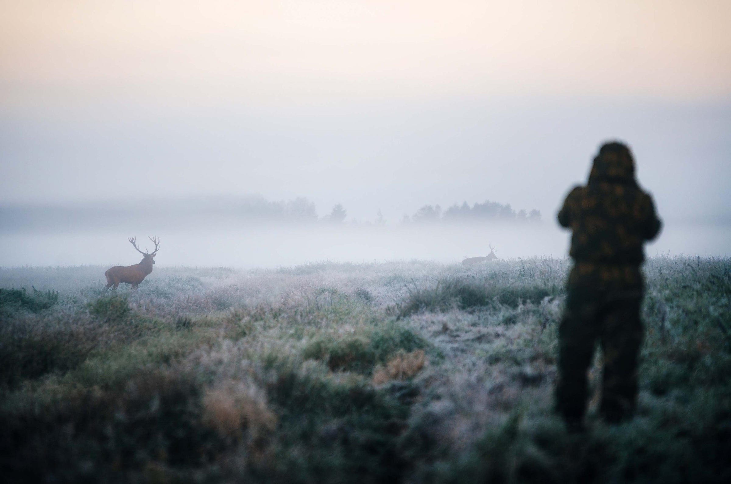 Hunter and deer