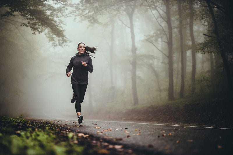 Women's Outdoor Socks - Fox River® Socks